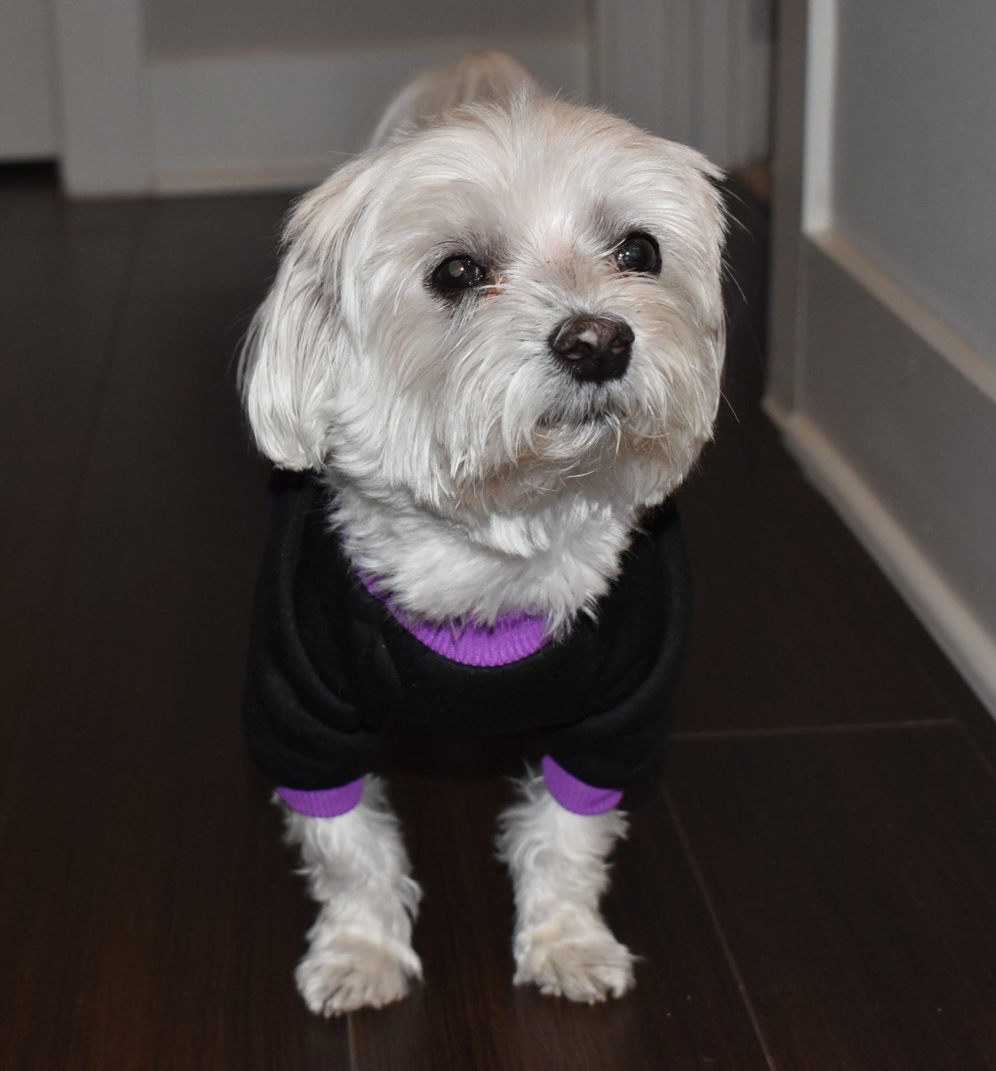HALLOWEEN NIGHT SWEATER image 3
