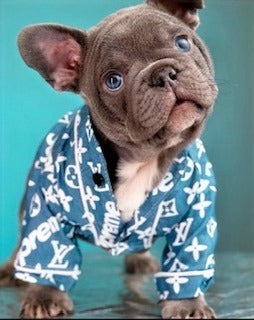 LV PUPREME DENIM BUTTON DOWN SHIRT image 4