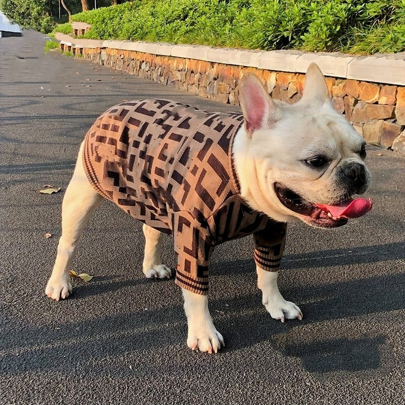 PUPENDI SWEATER image 5