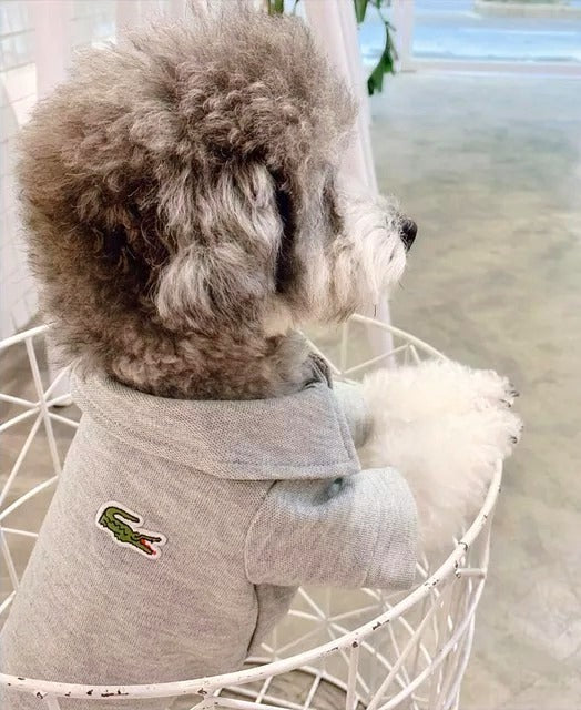 PUPCOSTE COLLAR SHIRT image 0