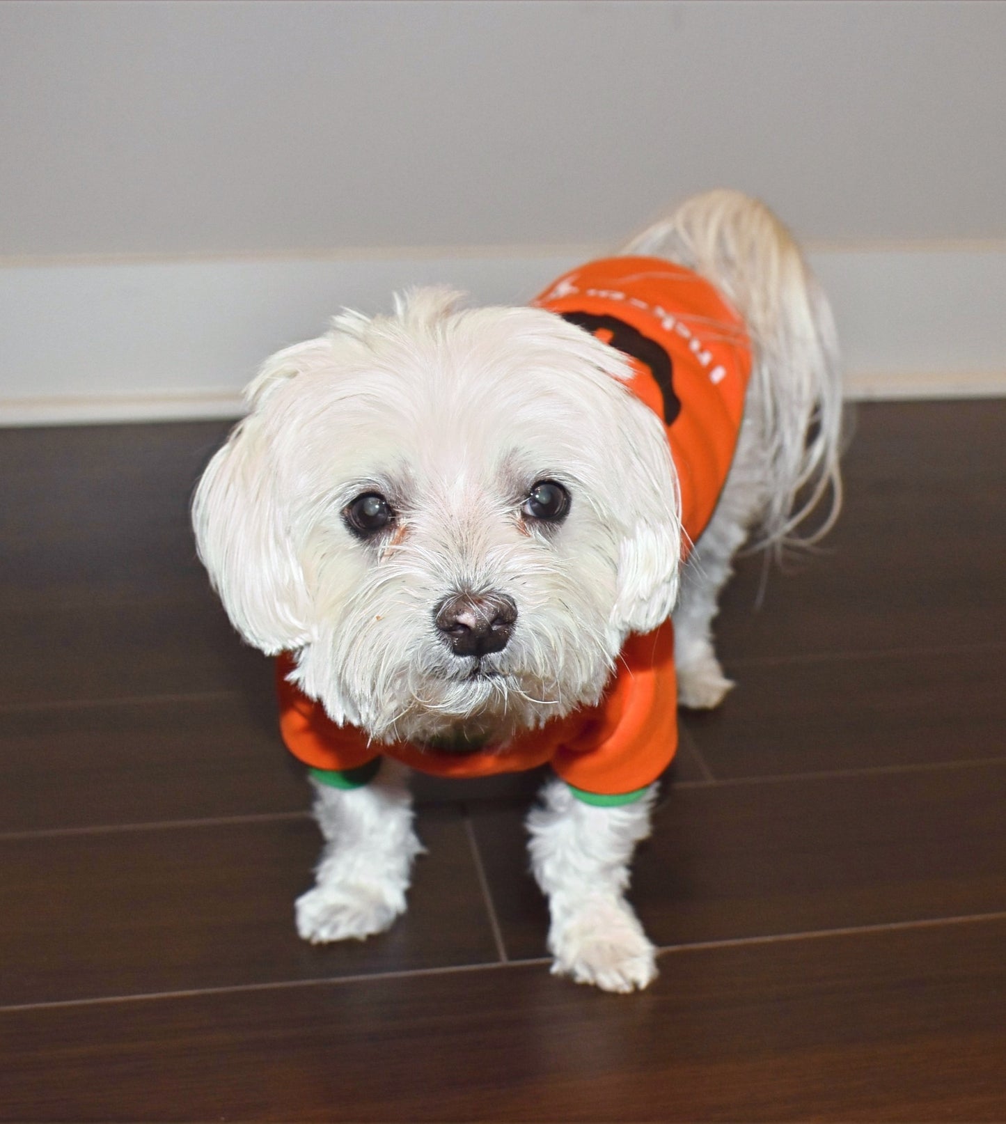PUMPKIN FACE SWEATER image 4