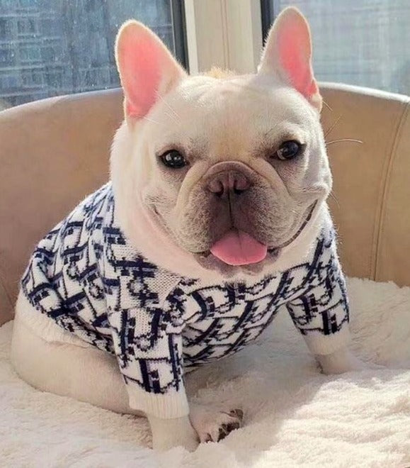 PUPIOR SWEATER image 3