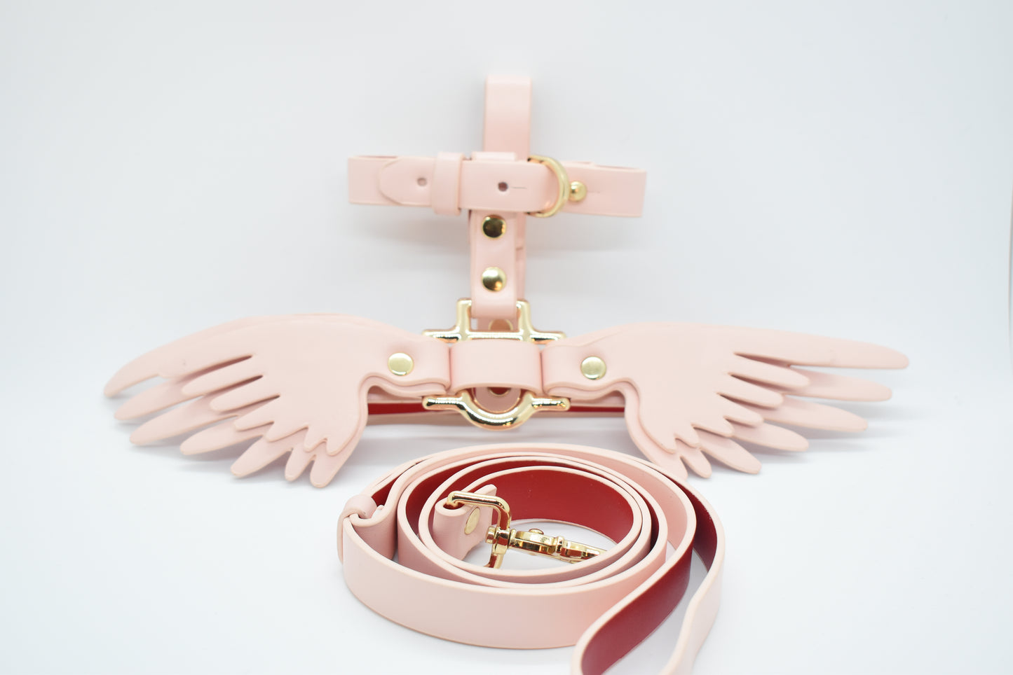 "ANGEL WINGS" LEASH & HARNESS SET image 1