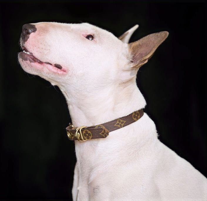 LOUIS PUPTTON LEATHER COLLAR SET image 0