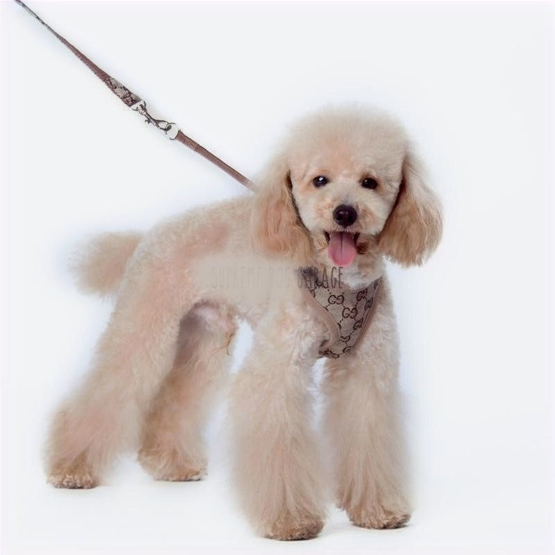 PUPCCI HARNESS SET image 3