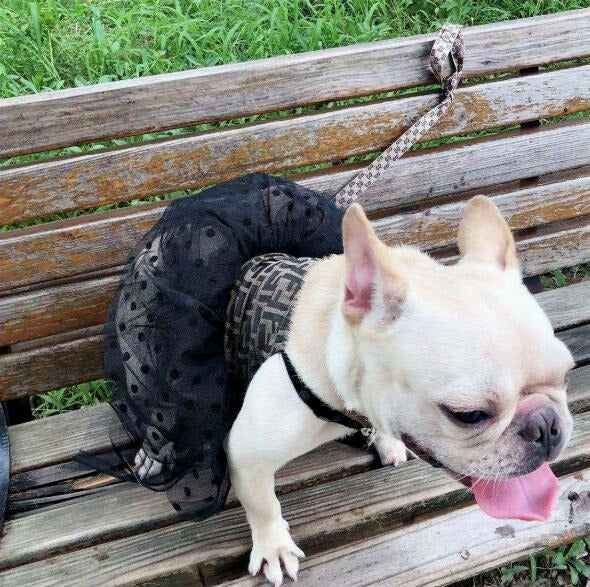 F PRINT LACE TUTU DRESS image 3