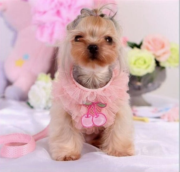 "CHERRIES" RUFFLE VEST W/ BOW & LEASH image 0
