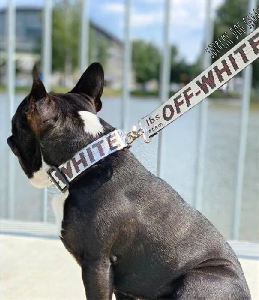 OFF PUP WHITE LEASH & COLLAR SET image 1