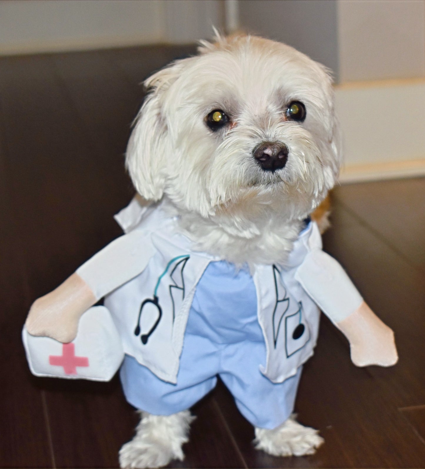 NURSE PUP image 3