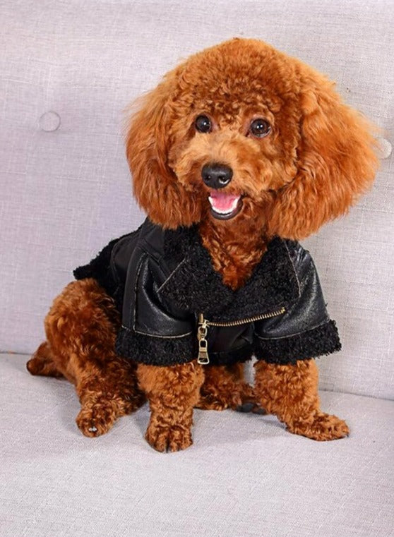 THE BOSSMAN COAT image 0