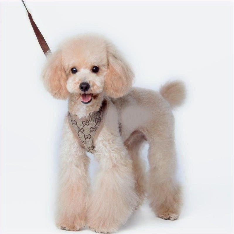 PUPCCI HARNESS SET image 0