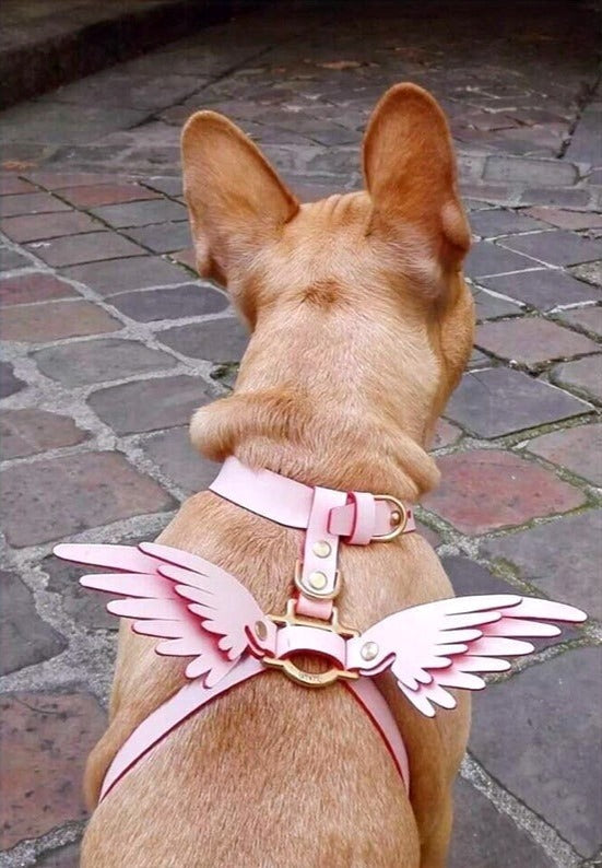 "ANGEL WINGS" LEASH & HARNESS SET image 0