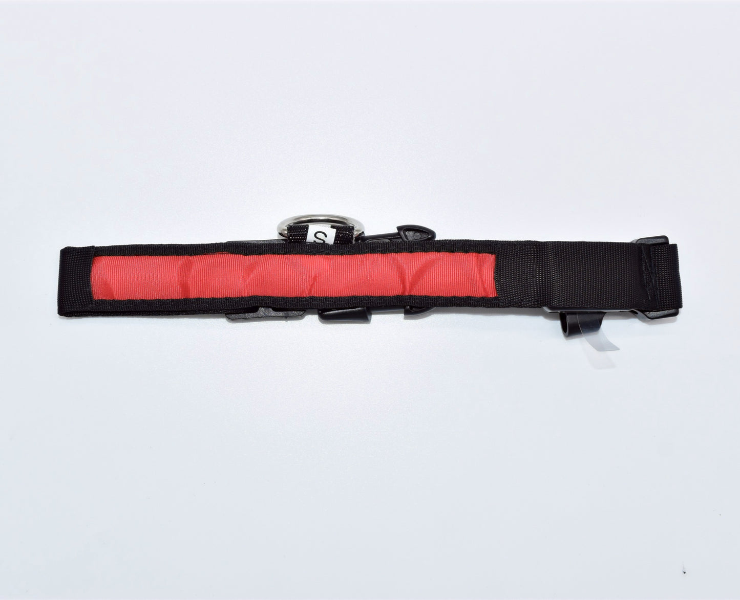 FLASHING NYLON LED COLLAR image 4