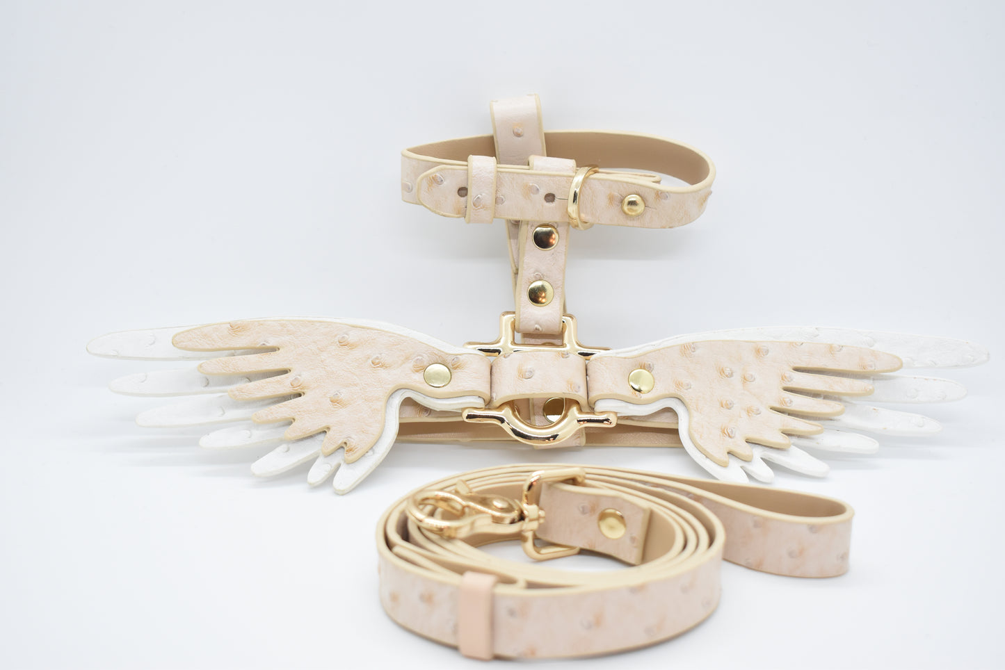 "ANGEL WINGS" LEASH & HARNESS SET image 3