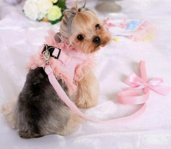"CHERRIES" RUFFLE VEST W/ BOW & LEASH image 2