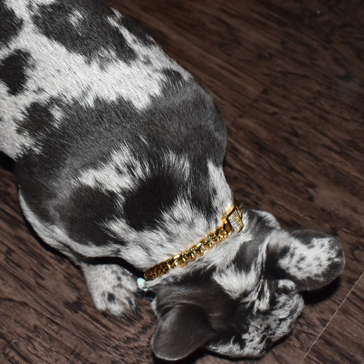 CUBAN BLING LOCK COLLAR image 2