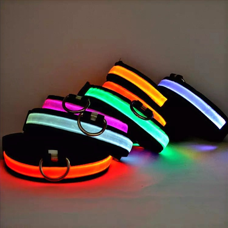 FLASHING NYLON LED COLLAR image 0