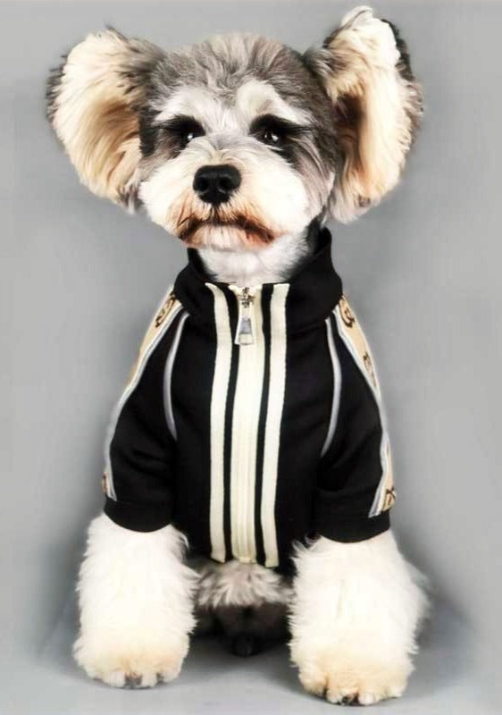 BIG GG JACKET image 0