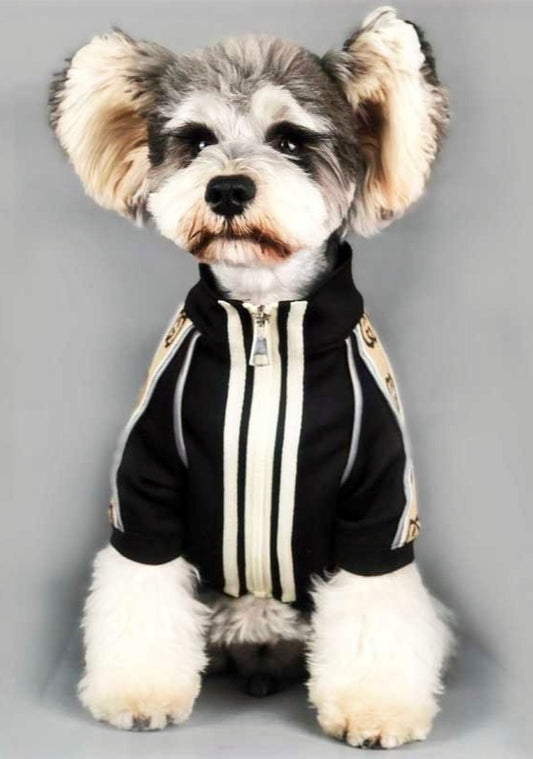BIG GG JACKET image 0
