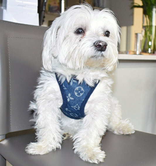 DENIM LV HARNESS SET image 0