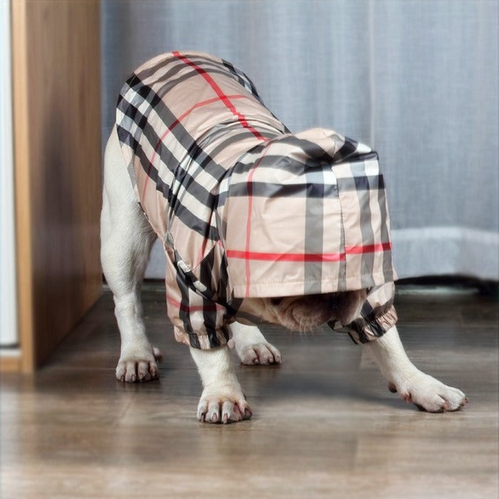 PUPBERRY WINDBREAKER image 3