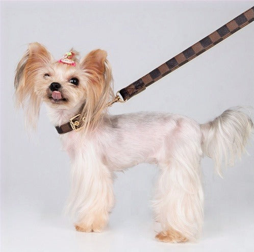 LV DAMIER PUPTTON COLLAR SET image 0