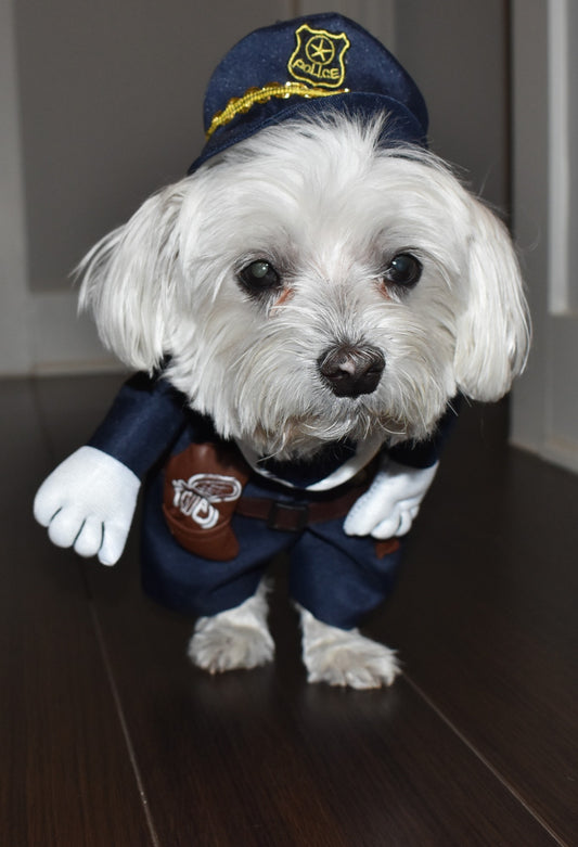 POLICE PUP image 0