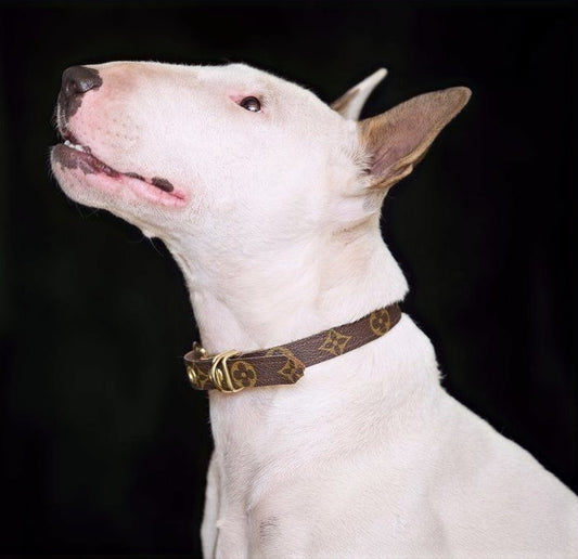 LOUIS PUPTTON LEATHER COLLAR SET image 0