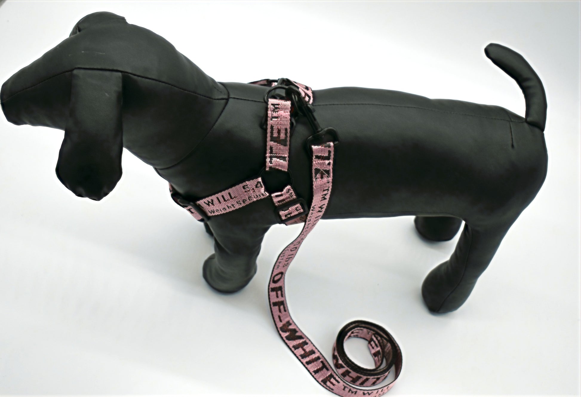 OFF PUP WHITE LEASH & HARNESS SET image 1