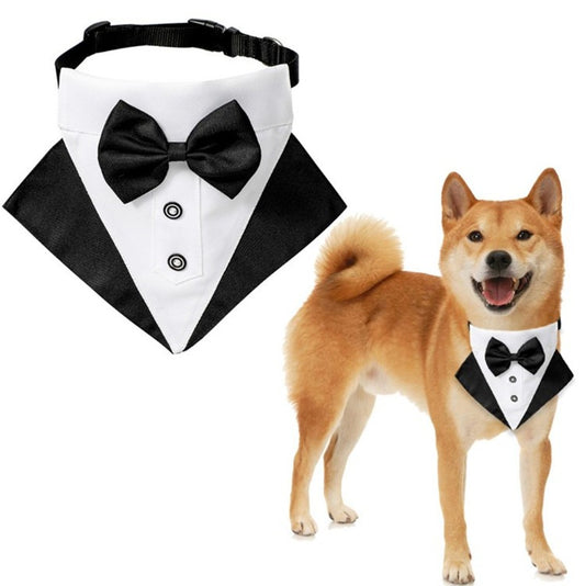 PUP TUX image 0