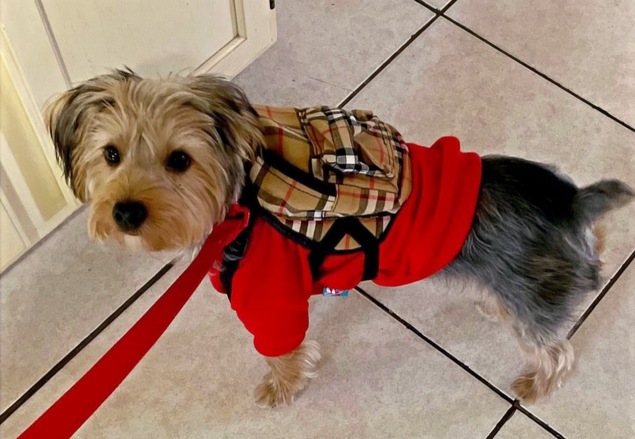 PUPBERRY PLAID BACKPACK HARNESS  image 0