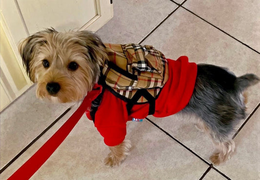 PUPBERRY PLAID BACKPACK HARNESS  image 0