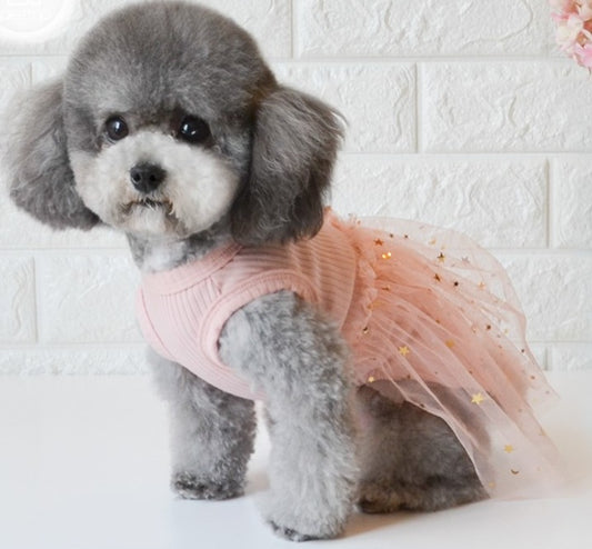 IM A STAR TUTU DRESS image 0