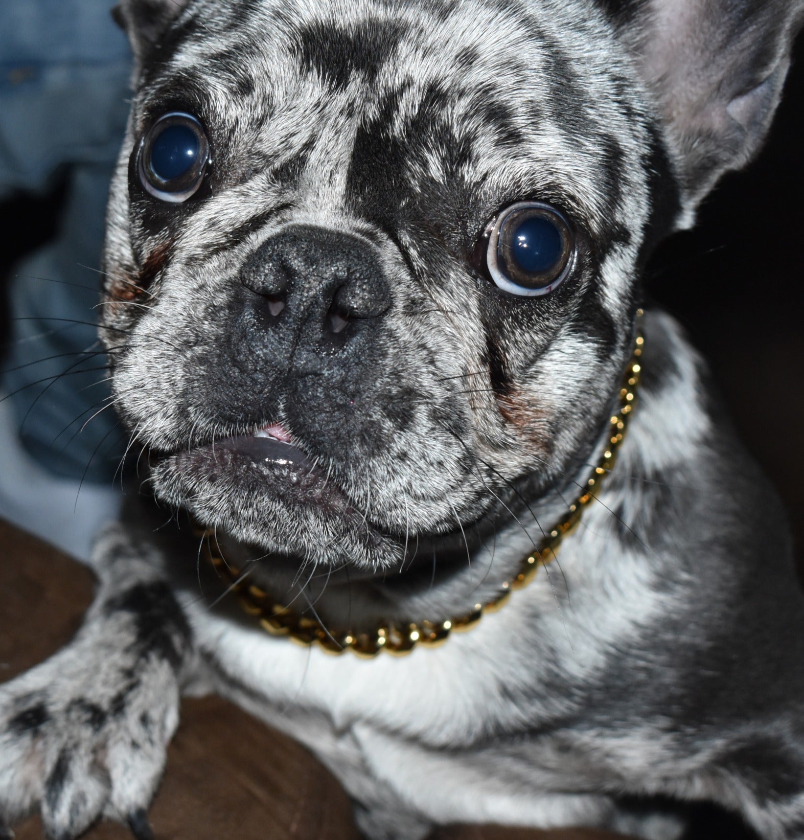 CUBAN BLING LOCK COLLAR image 5