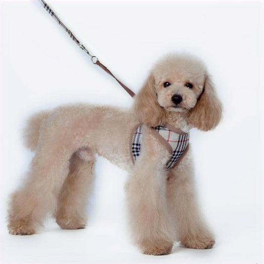 PUPBERRY HARNESS SET image 0