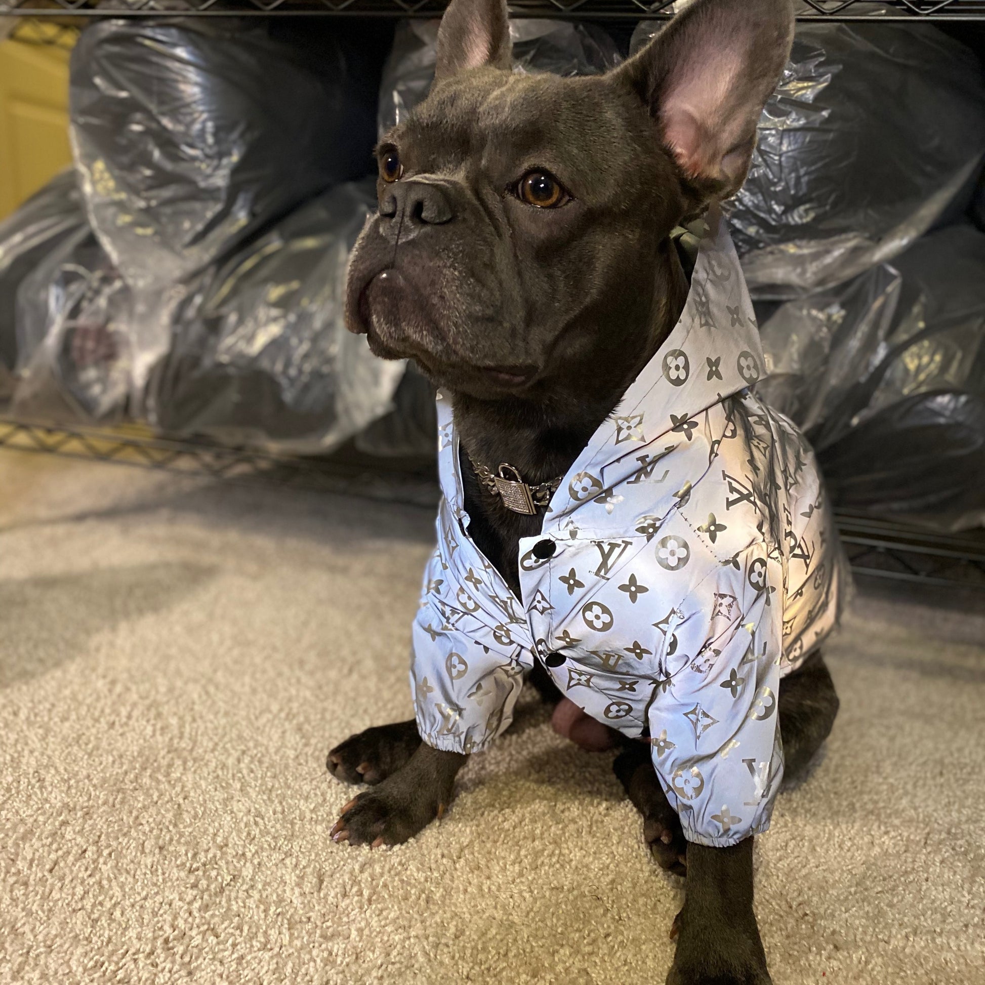 LOUIE PUPTTON REFLECTOR JACKET image 0