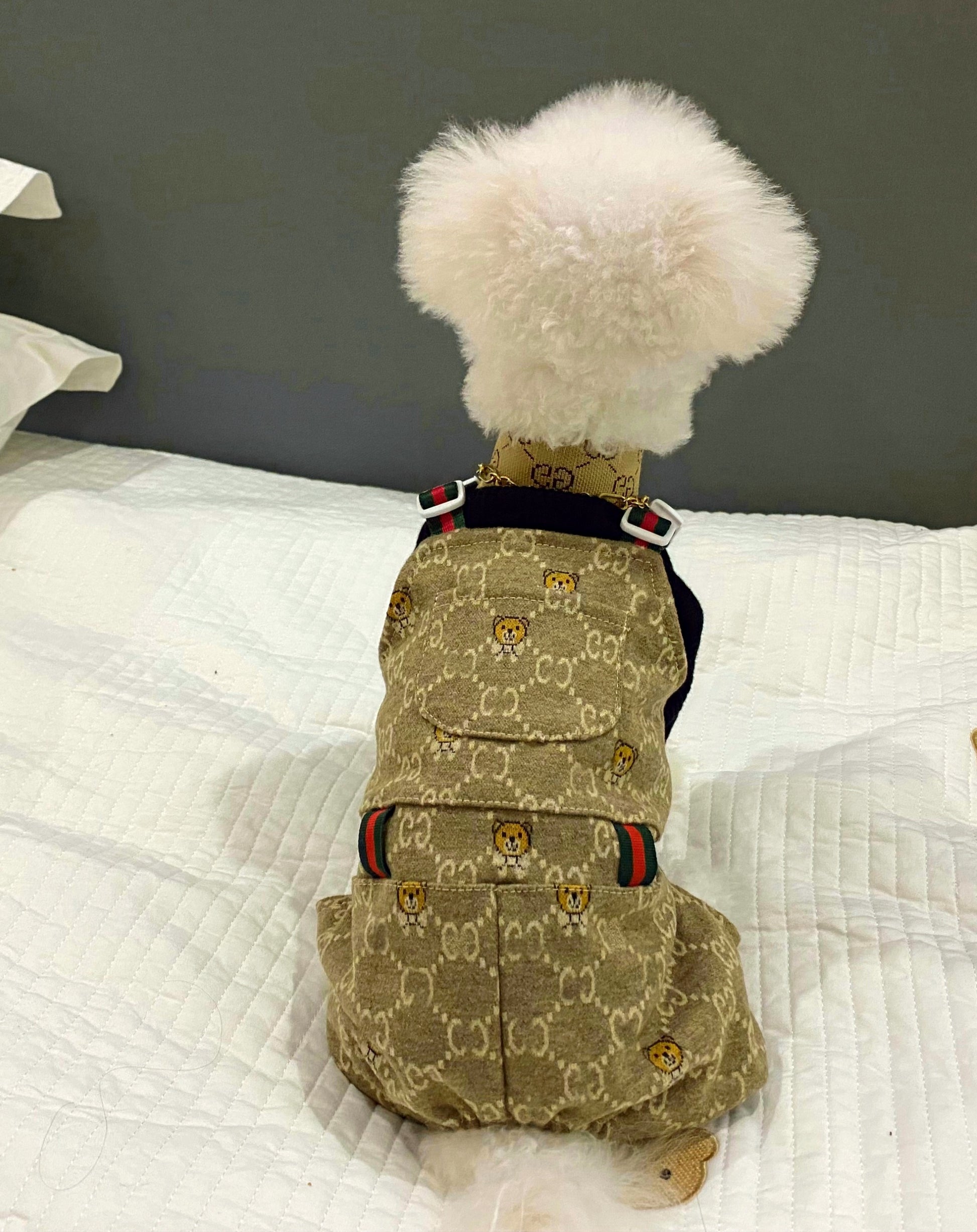 DOUBLE G TEDDY OVERALL JUMPER image 1