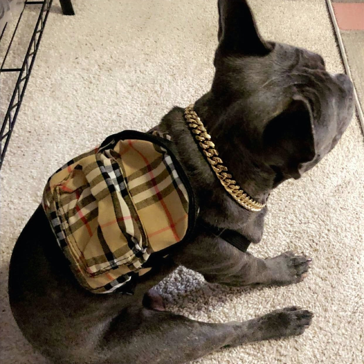 PUPBERRY PLAID BACKPACK HARNESS  image 1