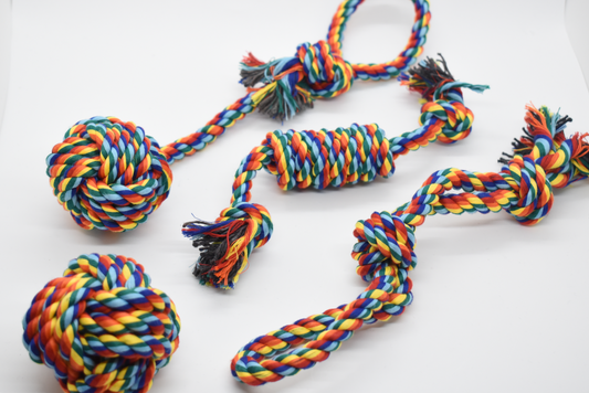 "RAINBOW FUN" TOYS image 0
