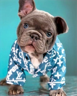 LV PUPREME DENIM BUTTON DOWN SHIRT image 0