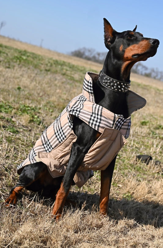 PLAID FLANNEL REVERSIBLE PUFF VEST image 0