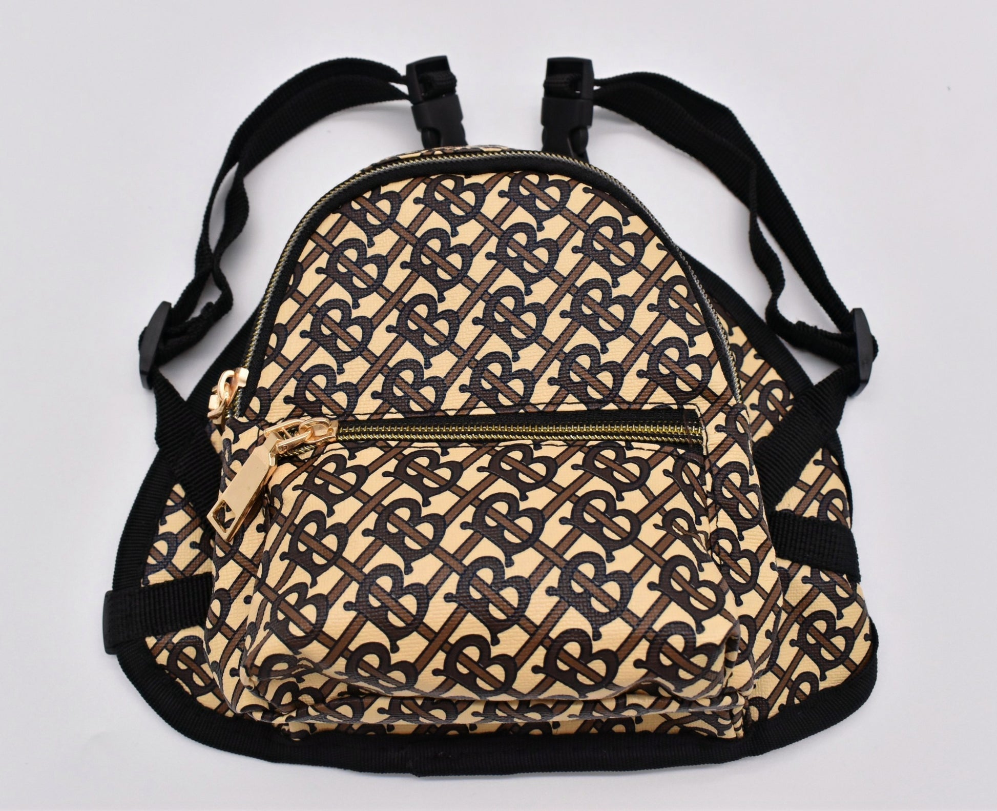 TB LEATHER BACKBACK image 0