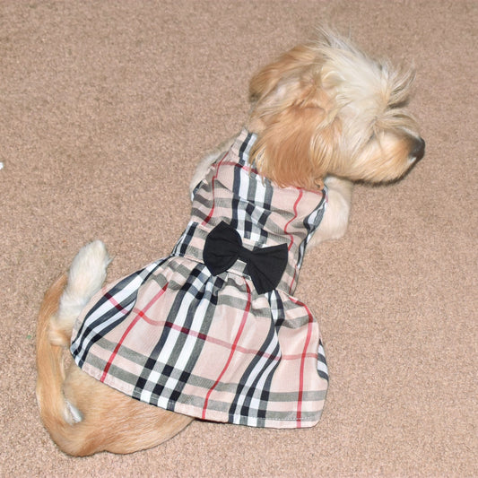 PUPBERRY BOW DRESS image 0