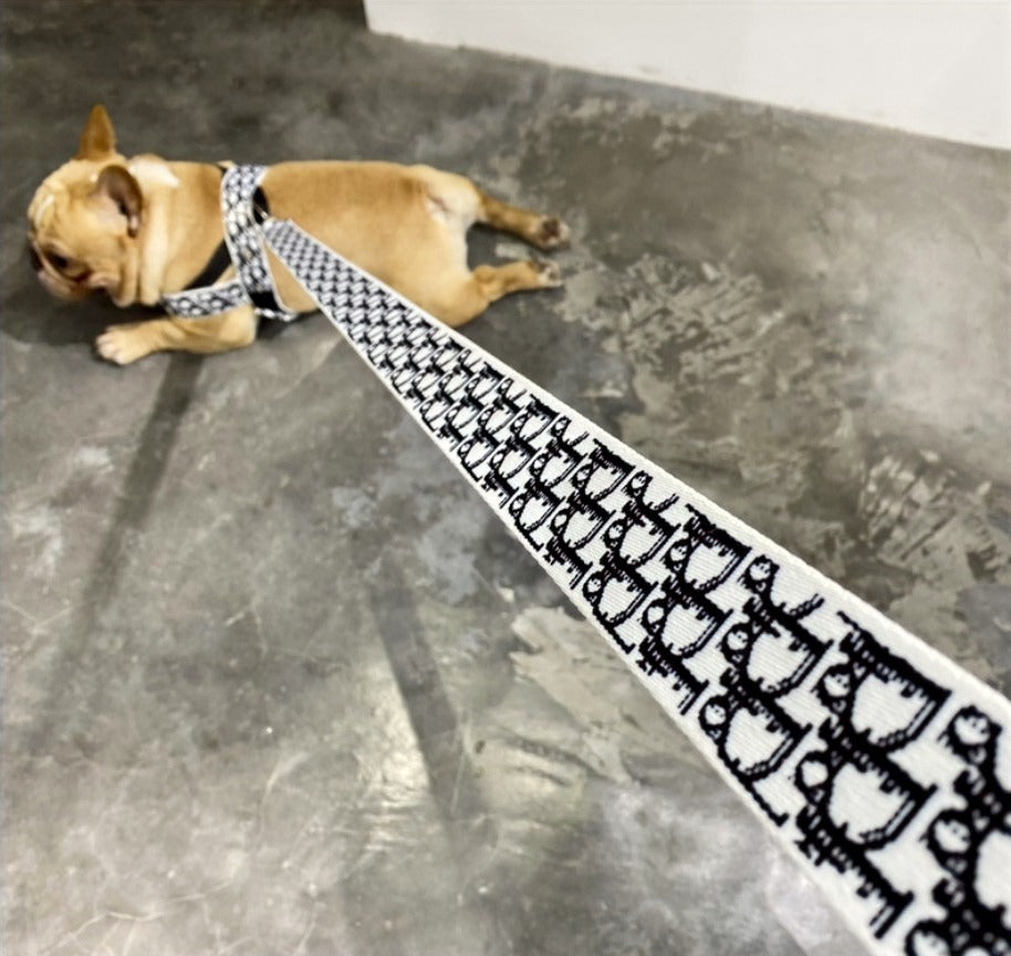PUPIOR COLLAR & HARNESS SET image 2