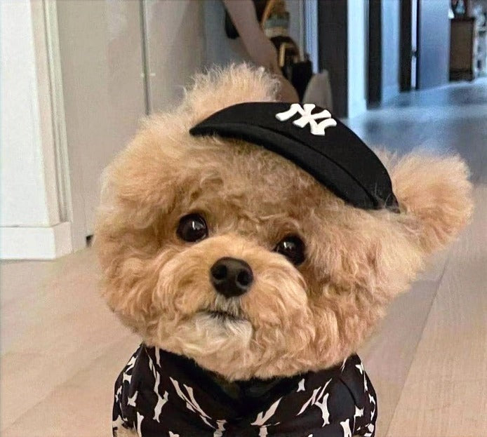 MLB ASSORTED PUP HATS image 2