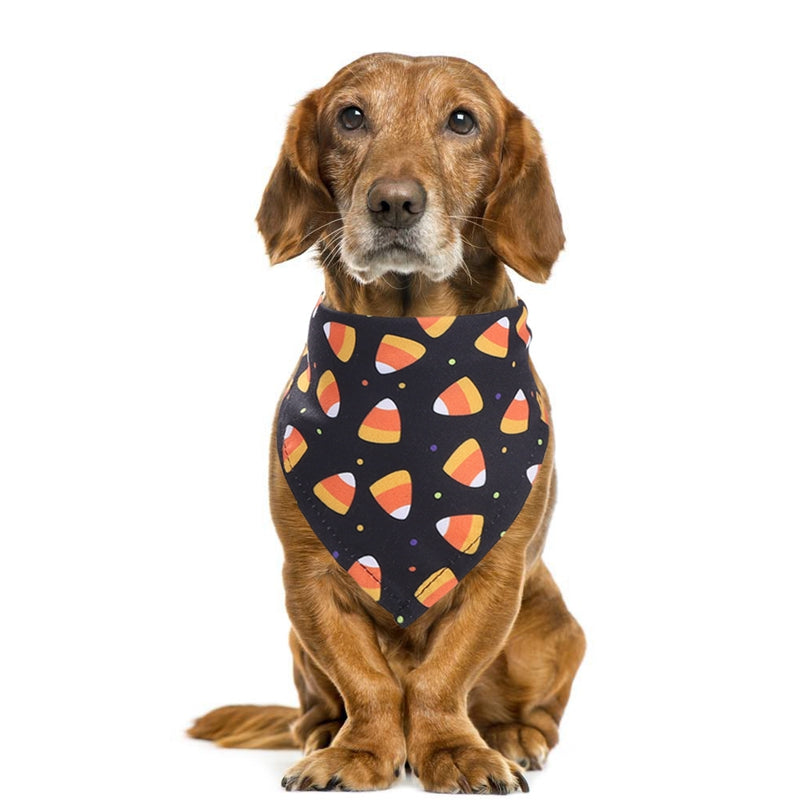 HALLOWEEN PUP SCARF image 2