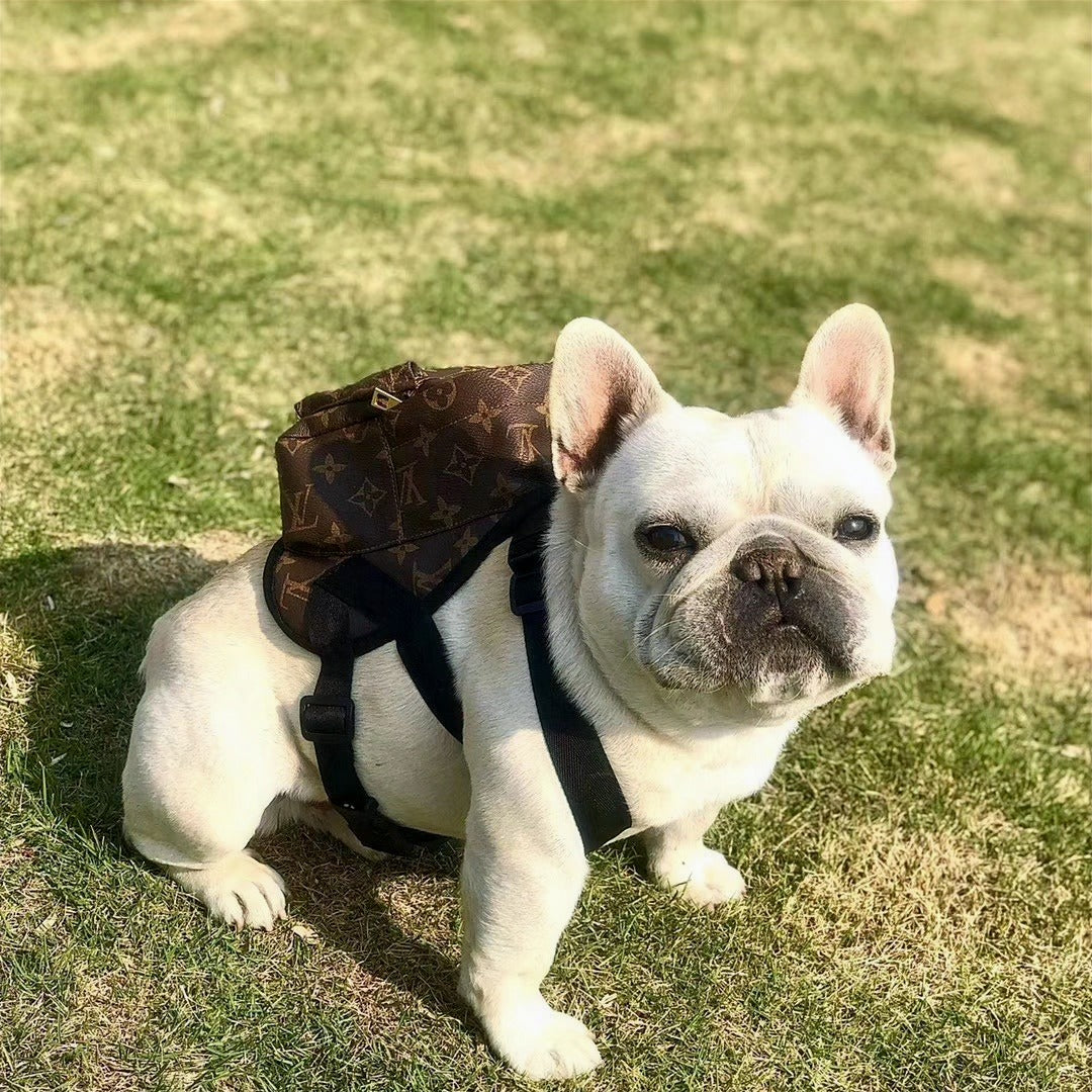 LV PUPTTON HARNESS BACKPACK image 0