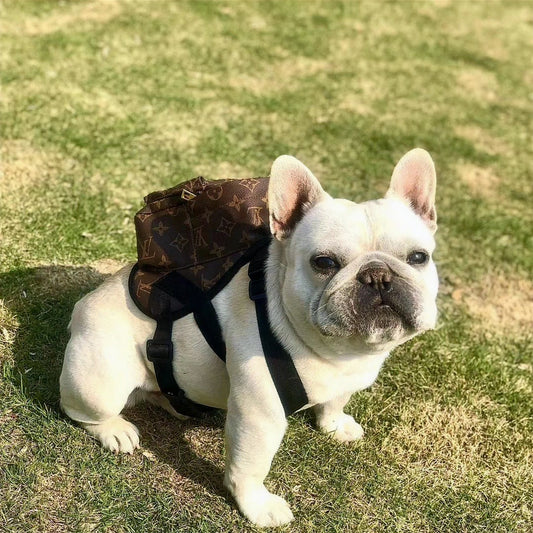 LV PUPTTON HARNESS BACKPACK image 0