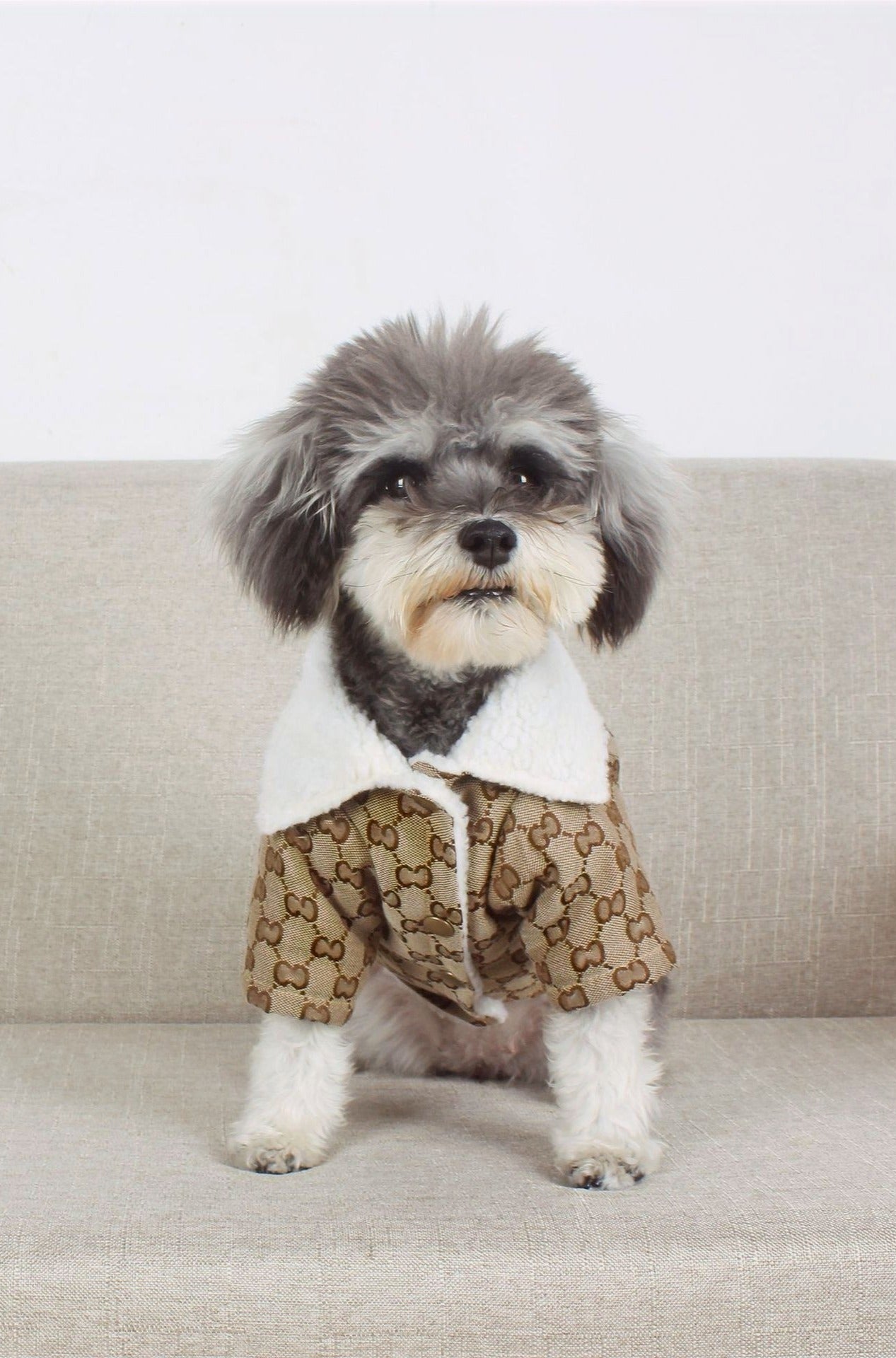 PUPCCI FLEECE COAT image 1