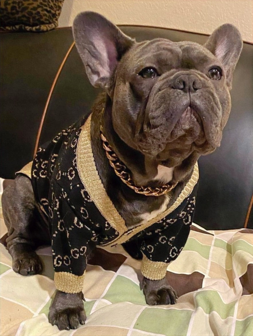 "RAZZLE DAZZLE" PUPCCI SWEATER image 0